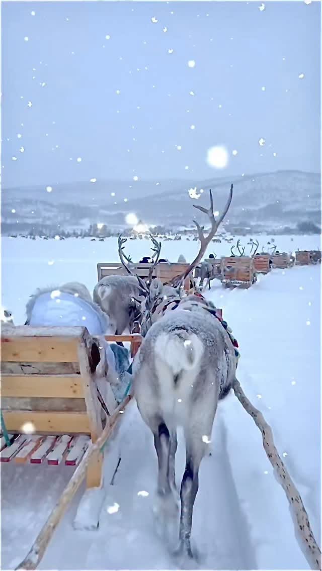 Winter Wonderland Experiences At The North Pole