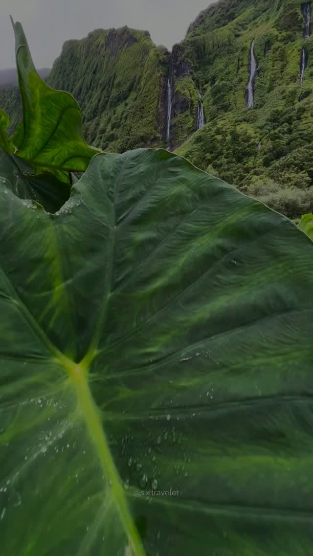Portugal's Island Wonders: Madeira & Azores