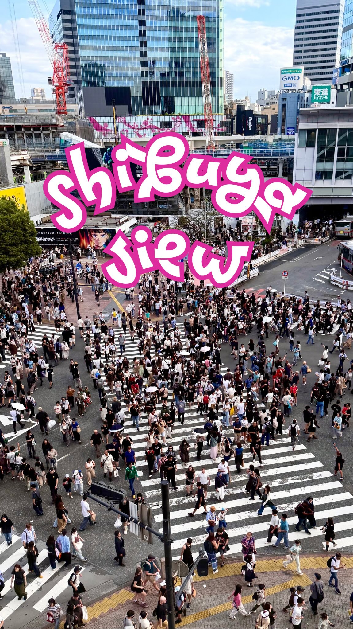 Shibuya Views: Cafes and Lounges Near Scramble Crossing