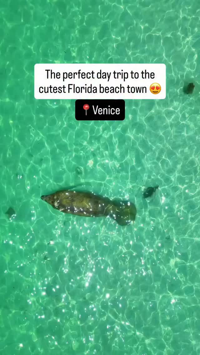 Venice, Florida: A Perfect Day Trip Destination