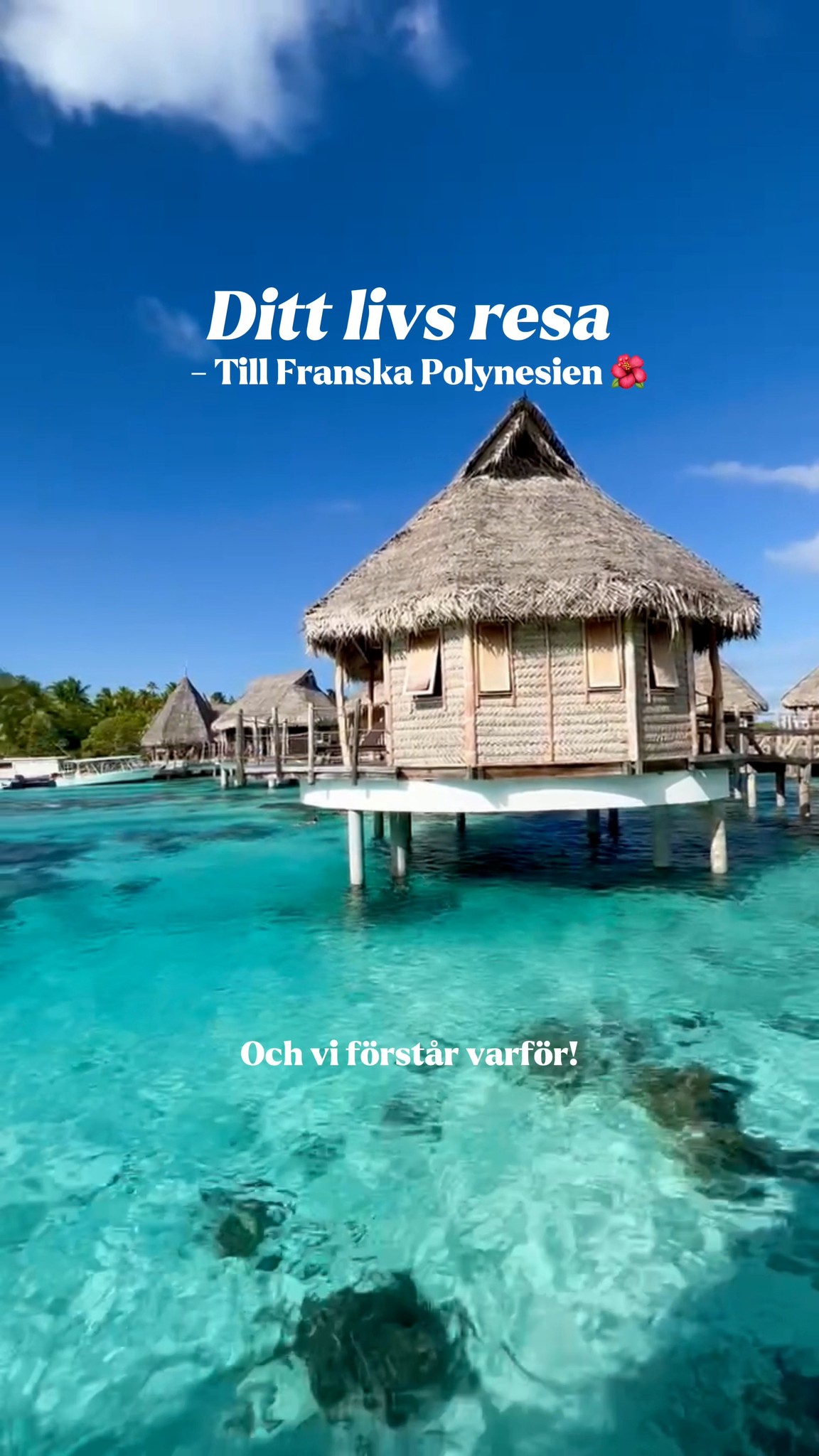 French Polynesia's Island Hopping Adventures