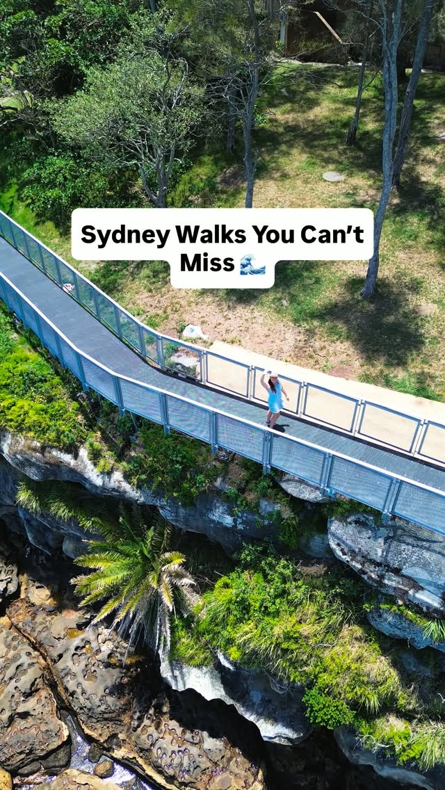 Sydney's Scenic Coastal and Bushland Walks