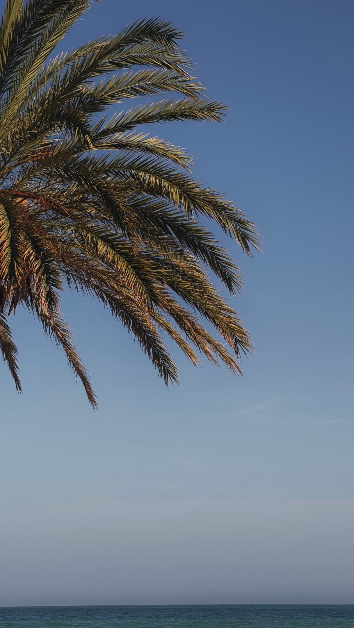 Six Alicante Attractions: From Castle Views to Local Markets