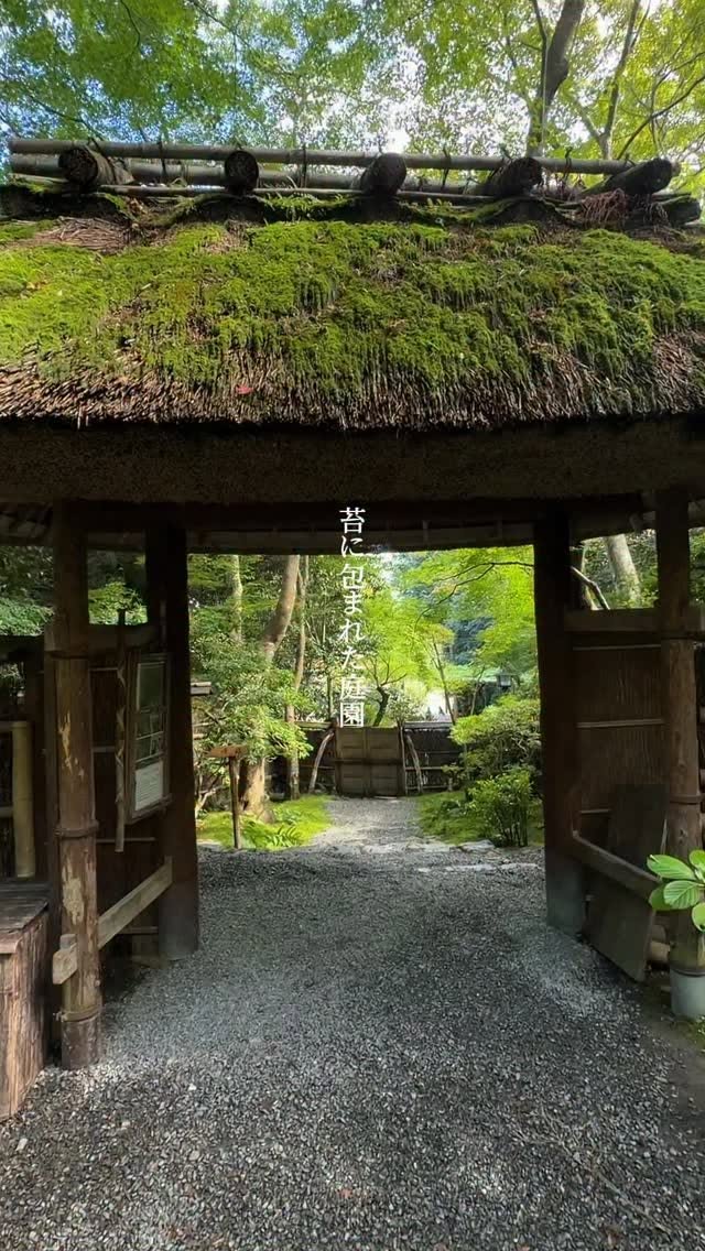 Giouji Temple's Moss Garden and Bamboo Forest