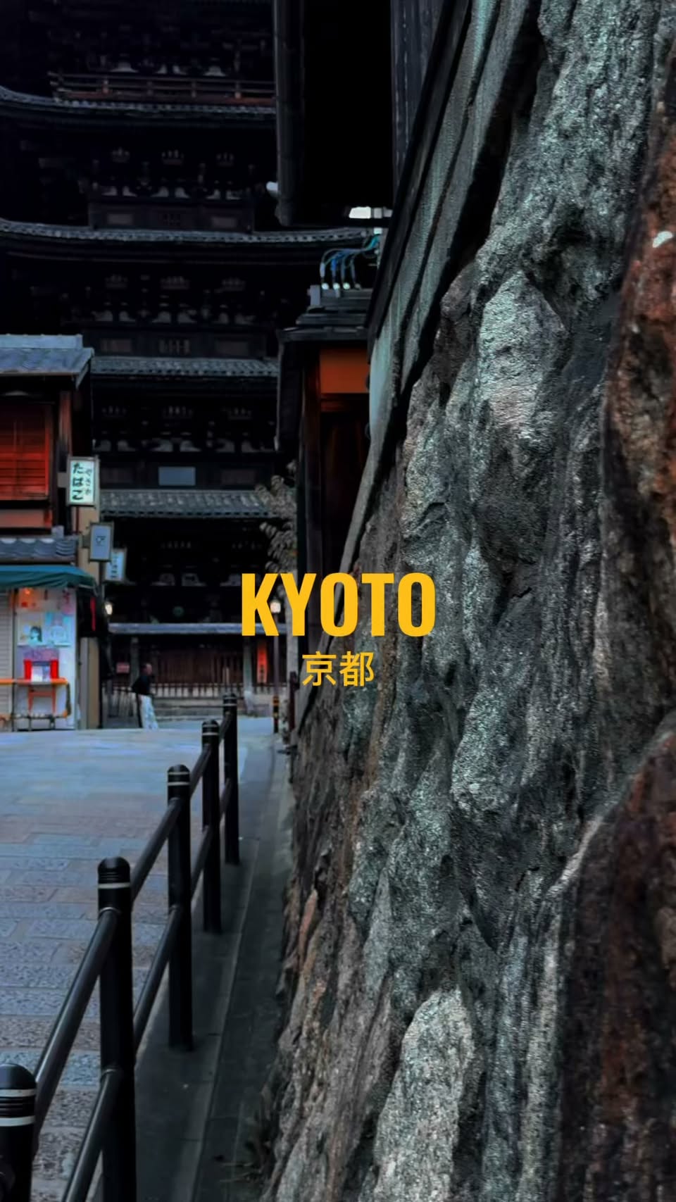 Kyoto's Temples, Nature, and Wildlife Wonders