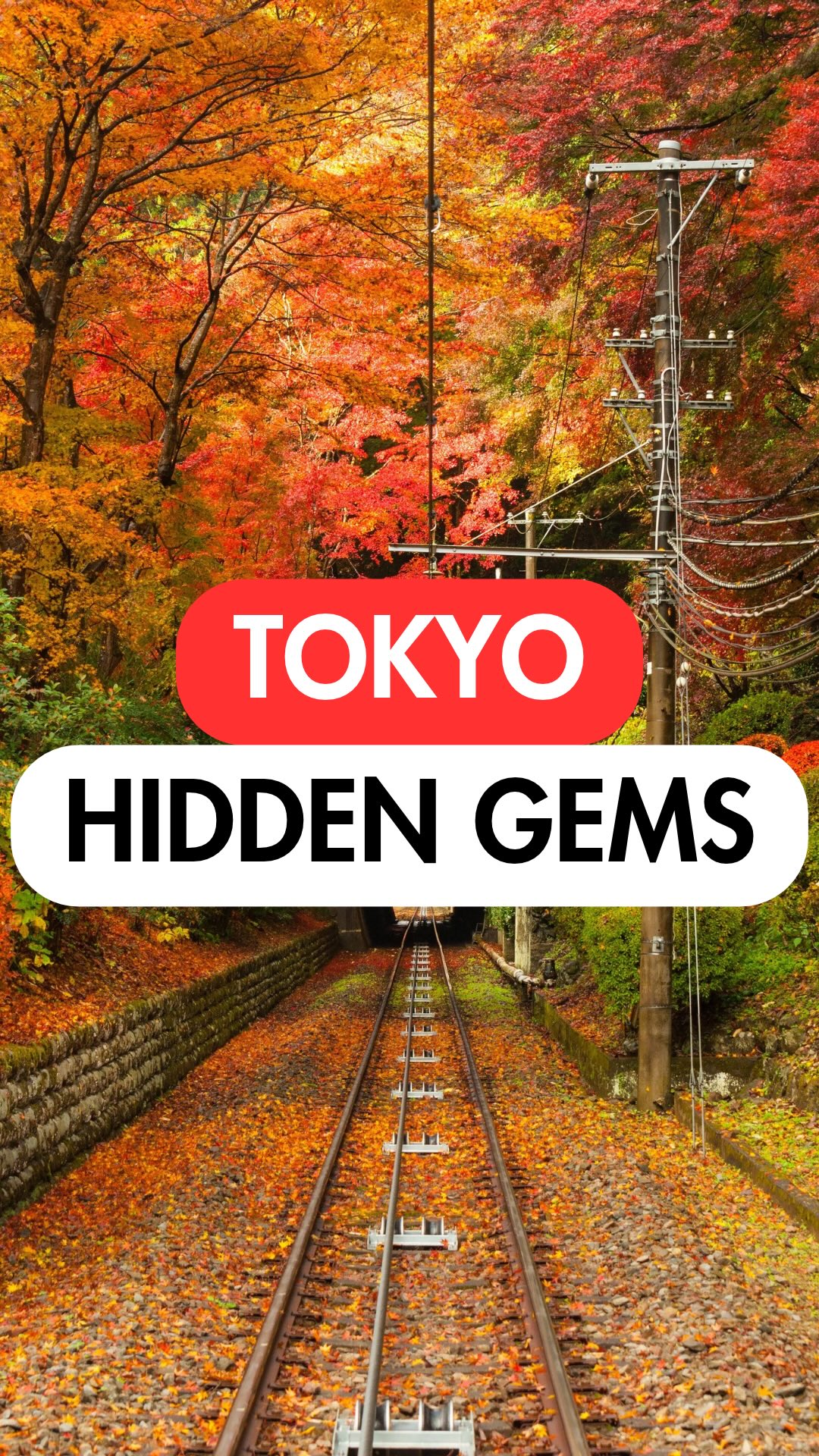 Discover Tokyo's Diverse Attractions and Natural Wonders