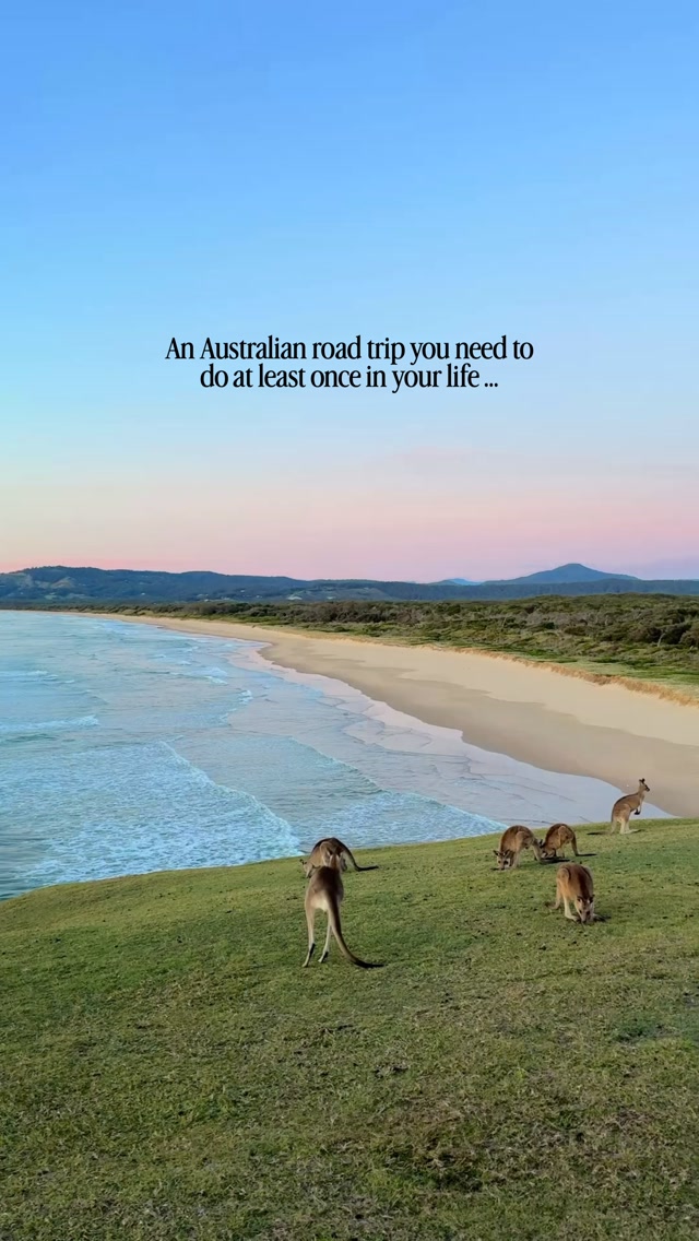 East Coast Australia Road Trip From Sunshine Coast To Sydney