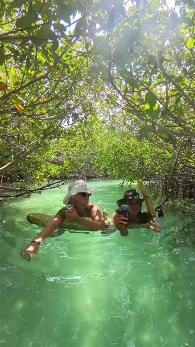 Key West Mangroves: A Relaxing River Float