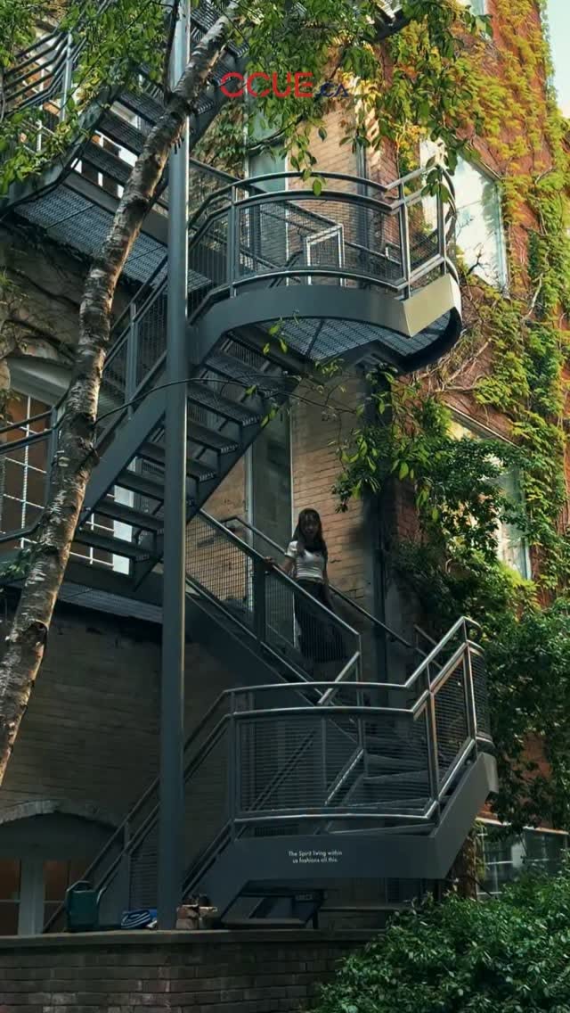 Toronto Creative Hubs Feature Art Galleries And Studios