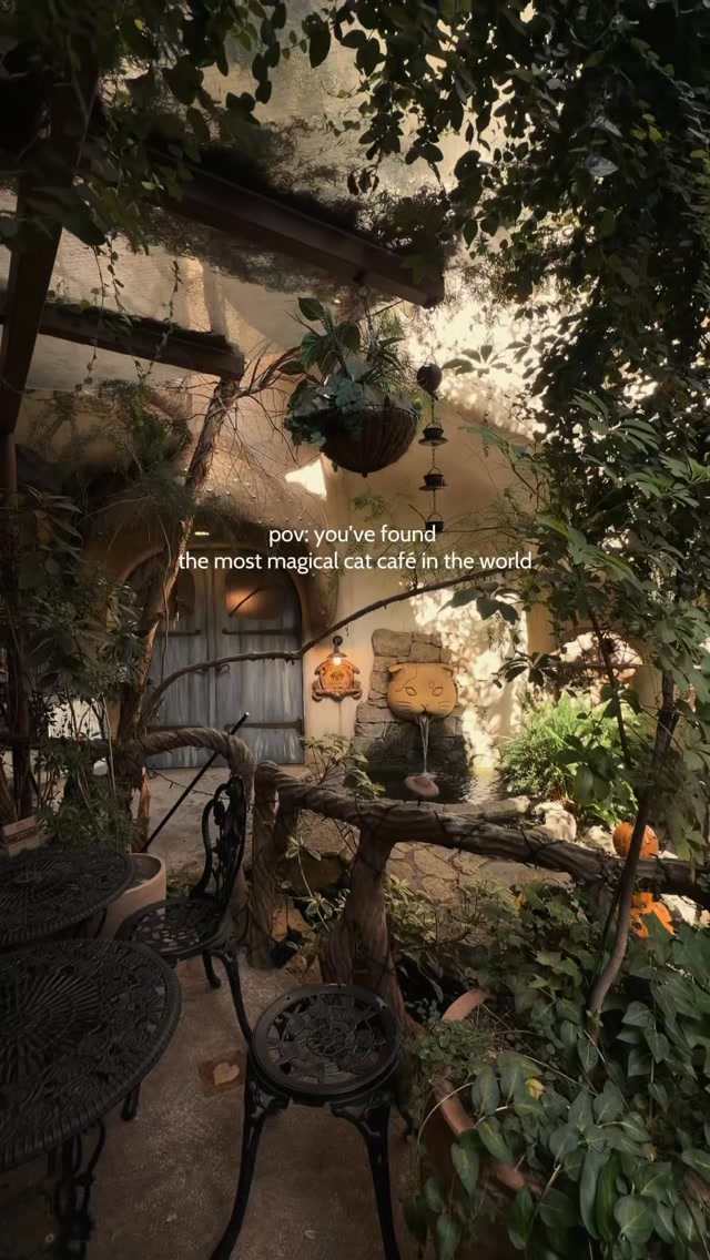 Enchanted Cat Cafe with Whimsical Treehouse Interior