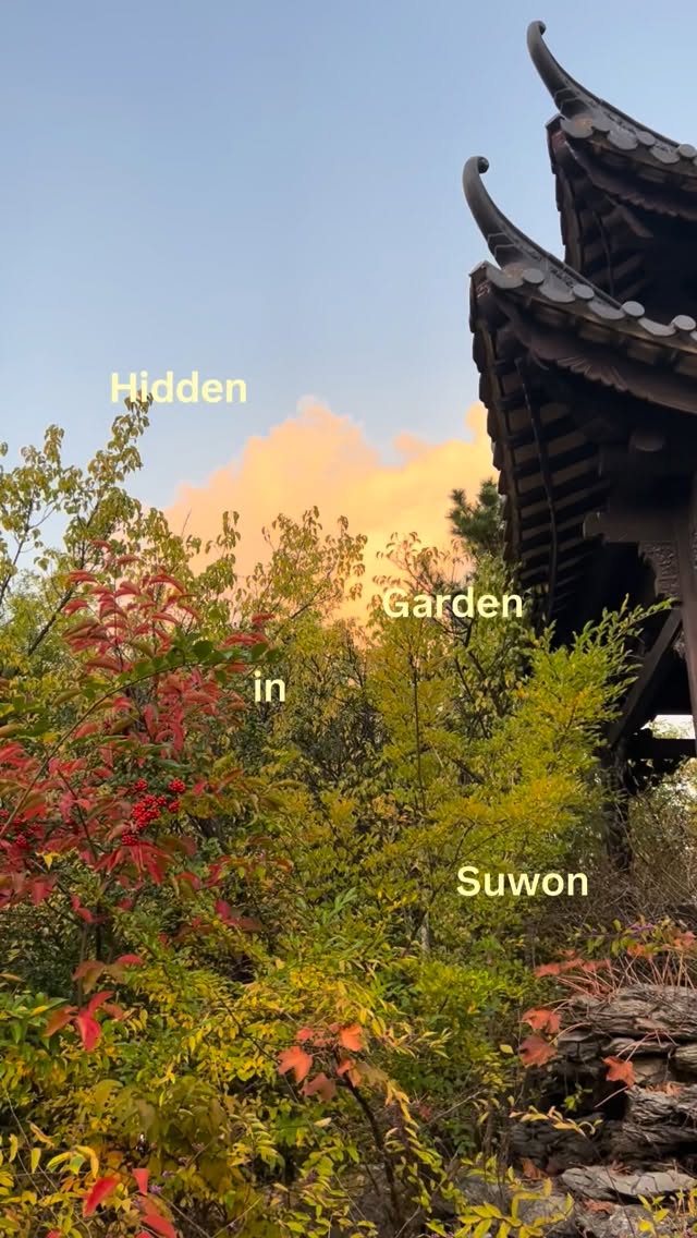 Hidden Chinese Garden Offers Peaceful Escape