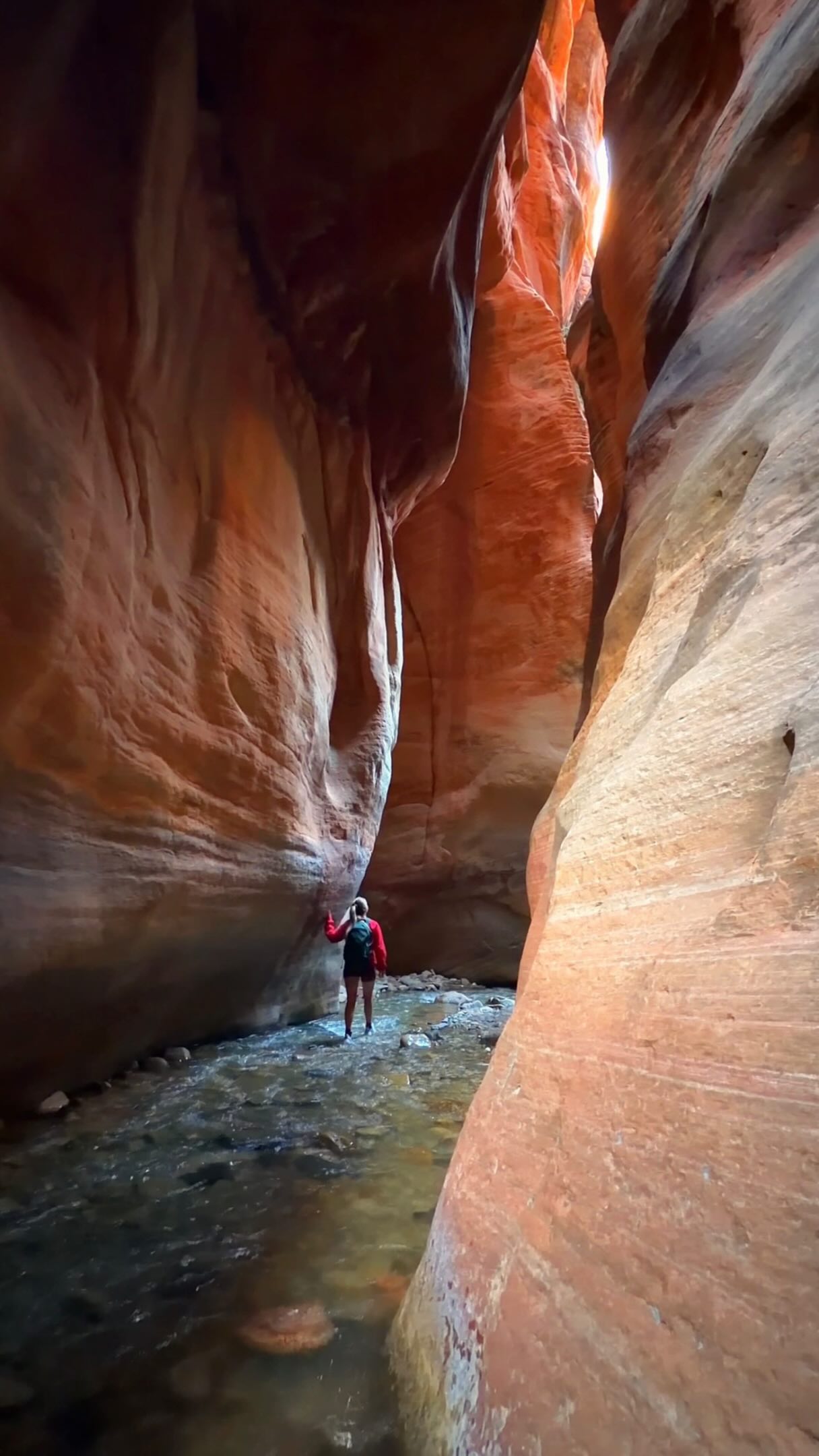 North American Road Trip Destinations