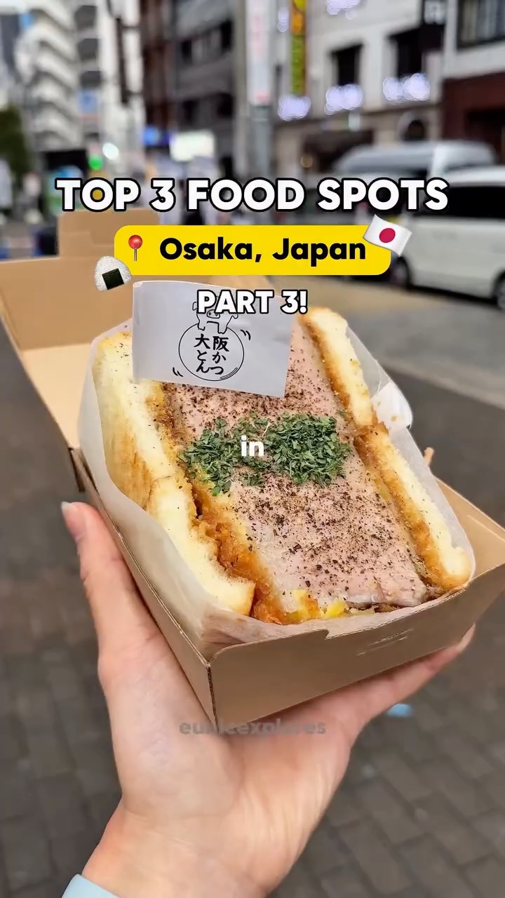 Osaka's Top Eats: Tonkatsu, Okonomiyaki, and Knit Cakes