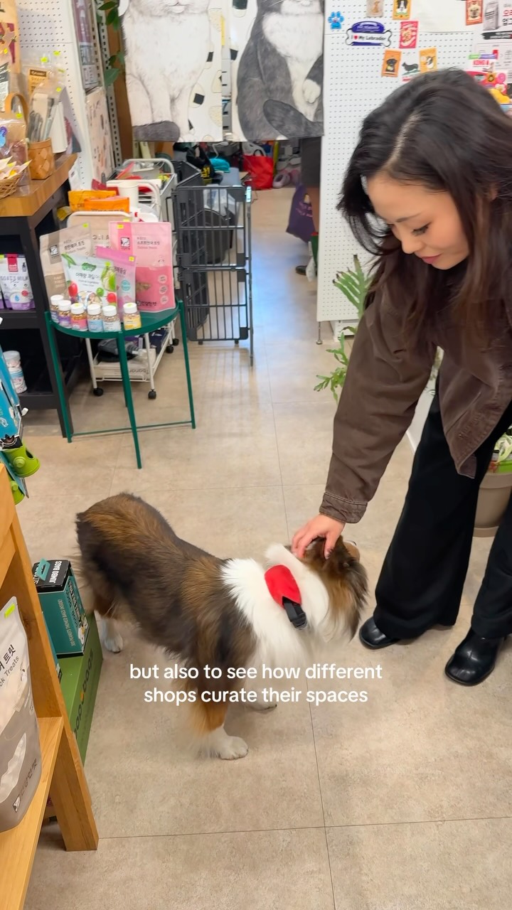 Favorite Pet Supply Store in Seoul