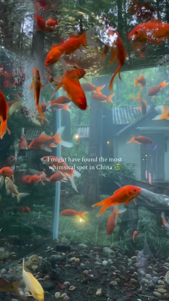 Whimsical Forest Cafe Near Hangzhou's Xi Lake