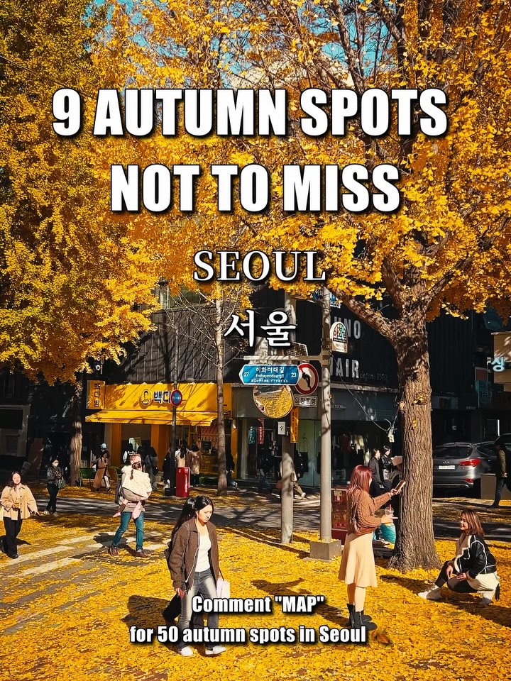 Seoul's Top Autumn Foliage Destinations