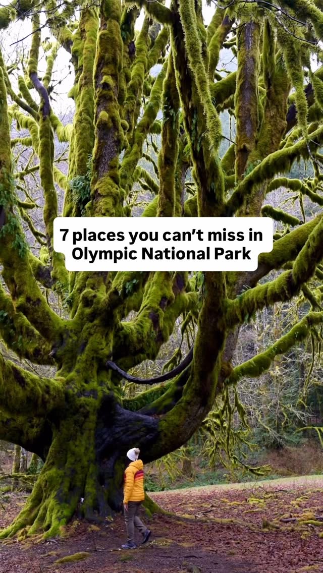 Olympic National Park's Natural Wonders