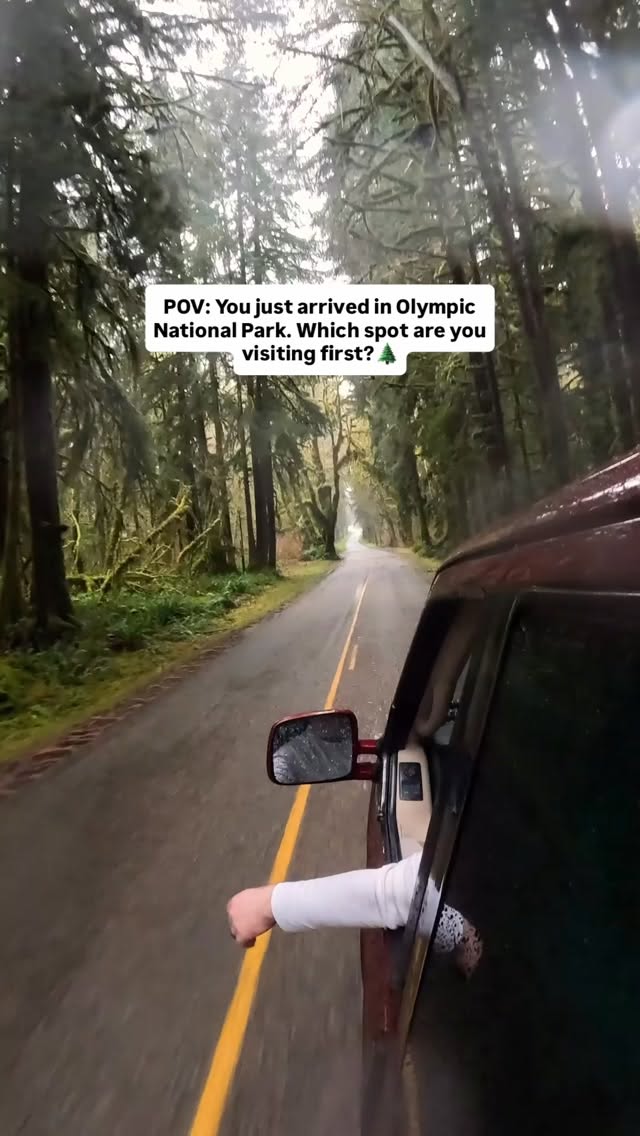 Olympic National Park's Rainforests, Beaches, and Waterfalls
