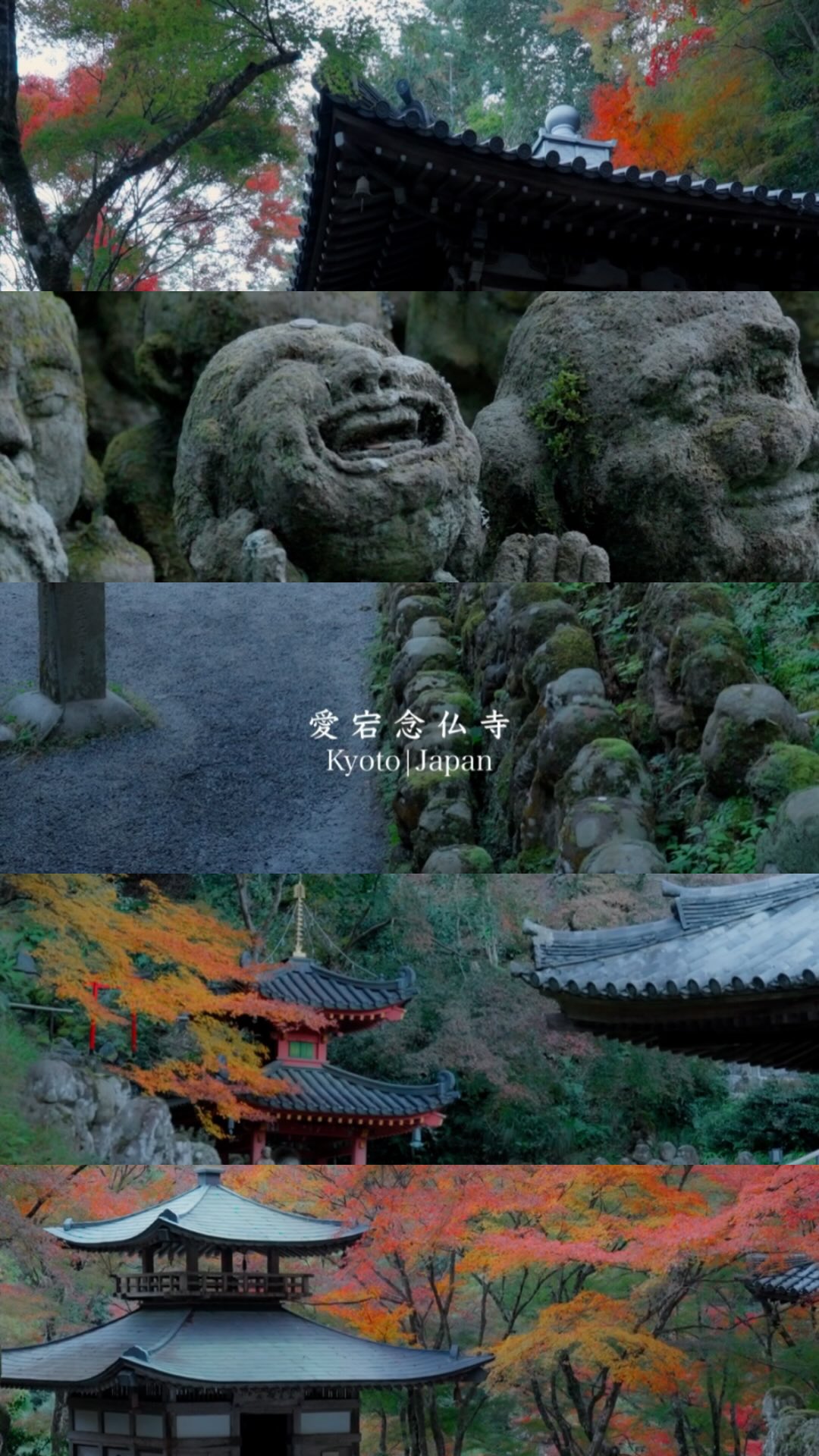 Otagi Nenbutsuji Temple's Autumn Beauty