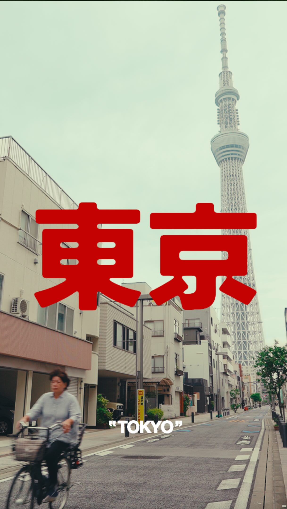 Tokyo's Vibrant Sights and City Life