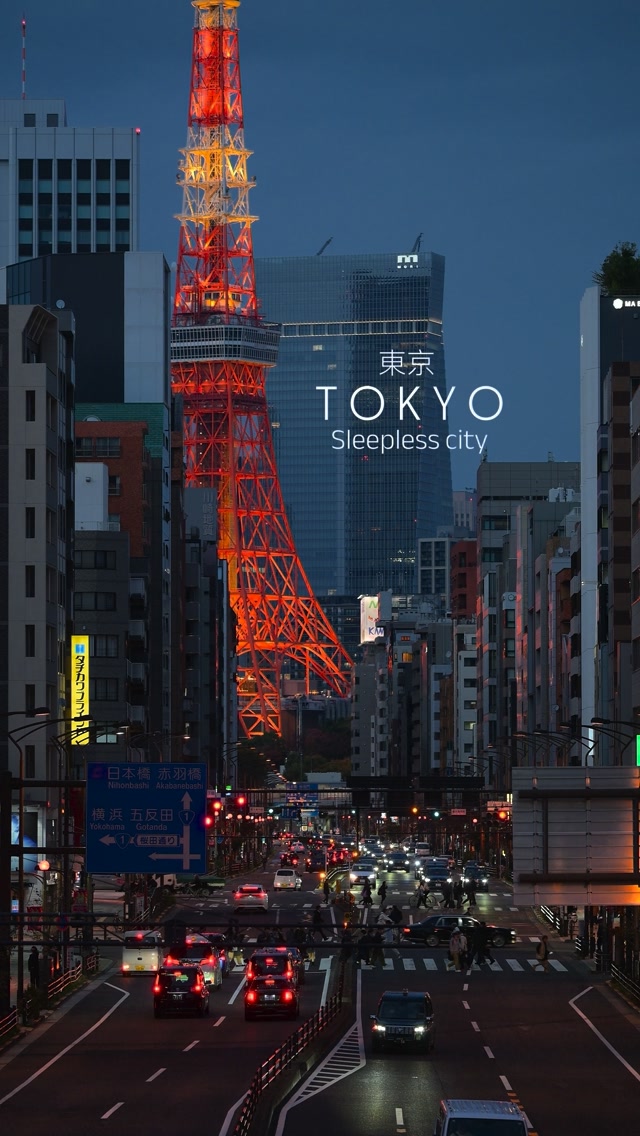 Tokyo's Vibrant Nightlife and Iconic Landmarks