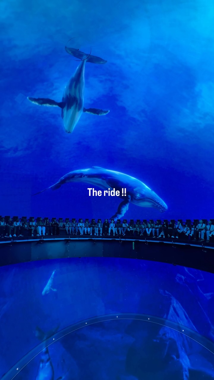 Yas Island's Immersive Underwater Simulation Ride