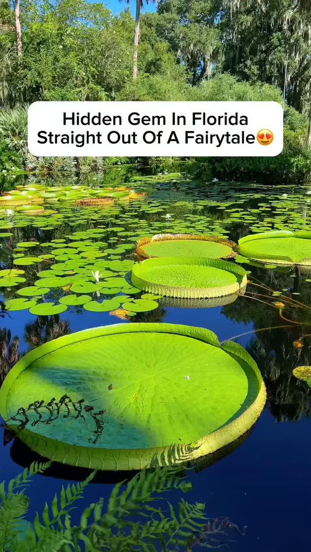 Bok Tower Gardens: Fairytale Destination With Singing Tower