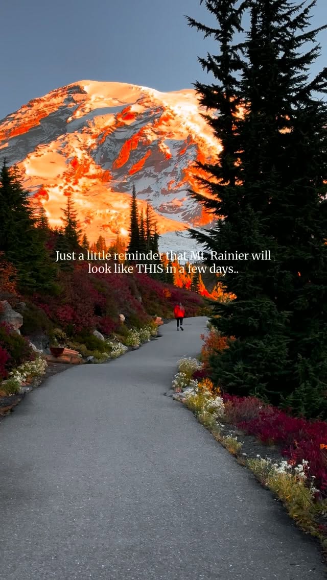 Autumn Colors at Mount Rainier National Park