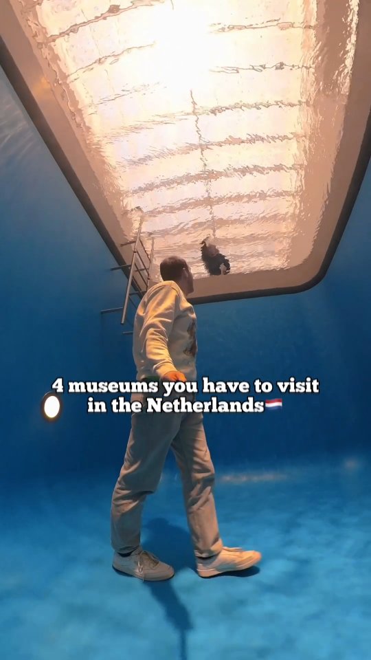 Zuid-Holland Museums Feature Immersive Art and Nature