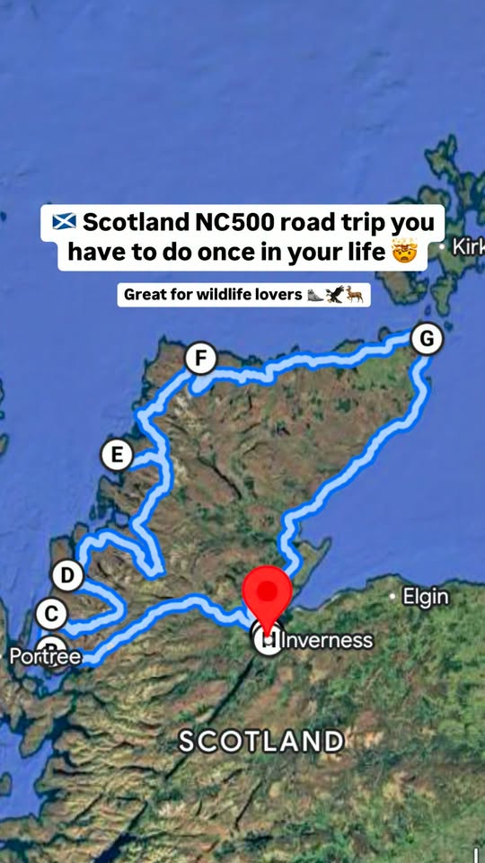 NC500 Road Trip Stops For Wildlife Viewing