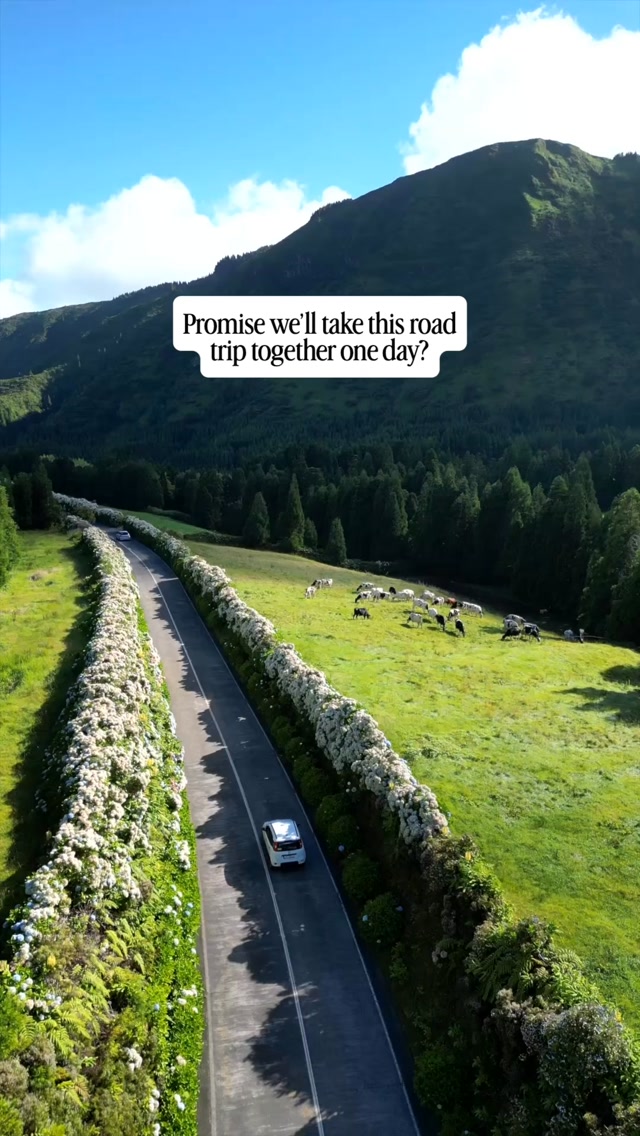 São Miguel Island's Natural Wonders and Road Trip Guide