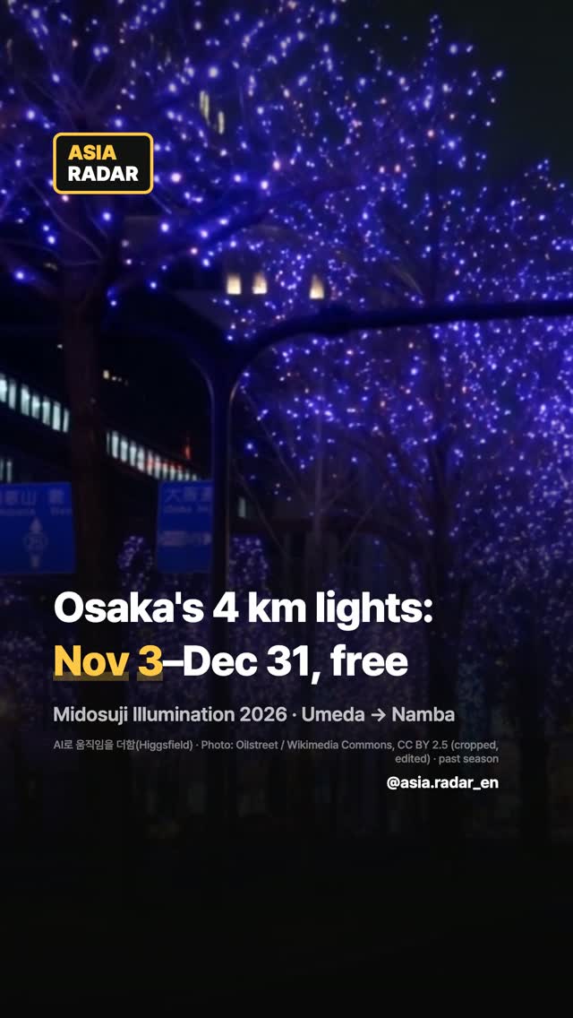 Osaka's Midosuji Illumination Festival