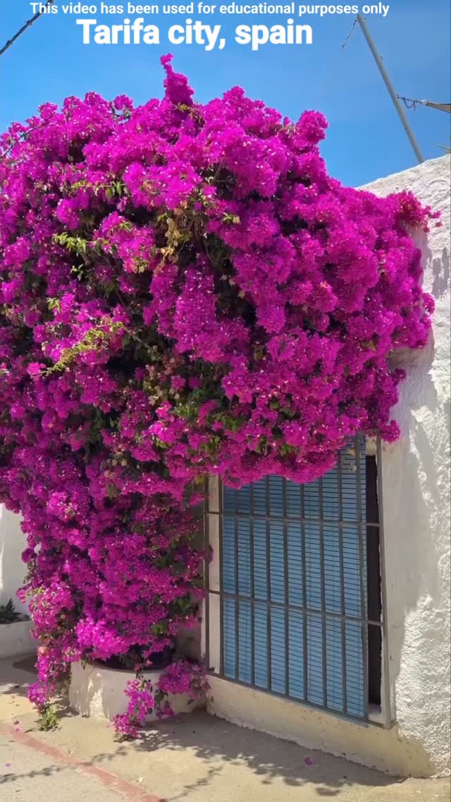 Tarifa: Historic Streets, Beach, and Castle
