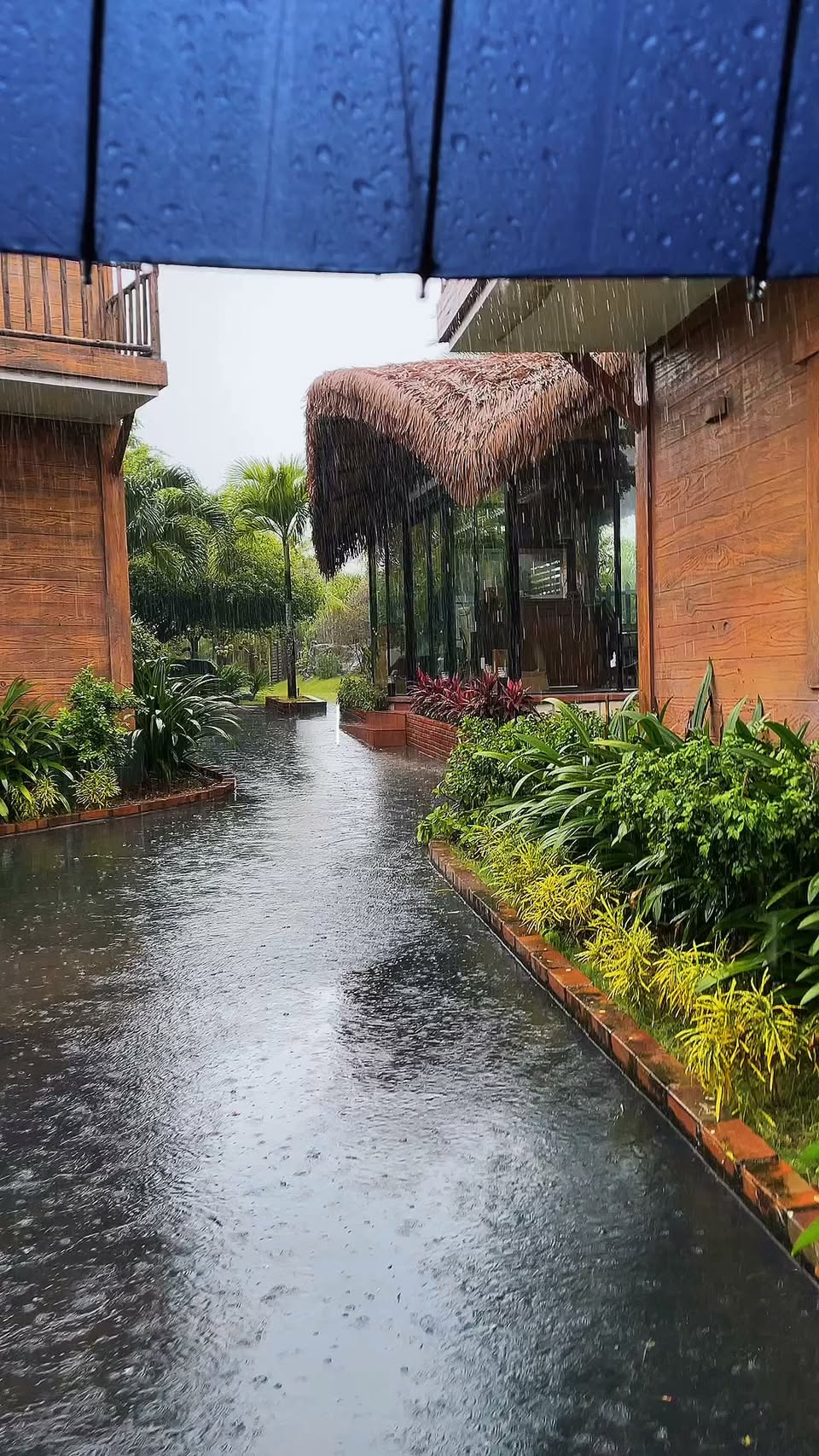 Charm Eco Retreat's Rainy Day Serenity