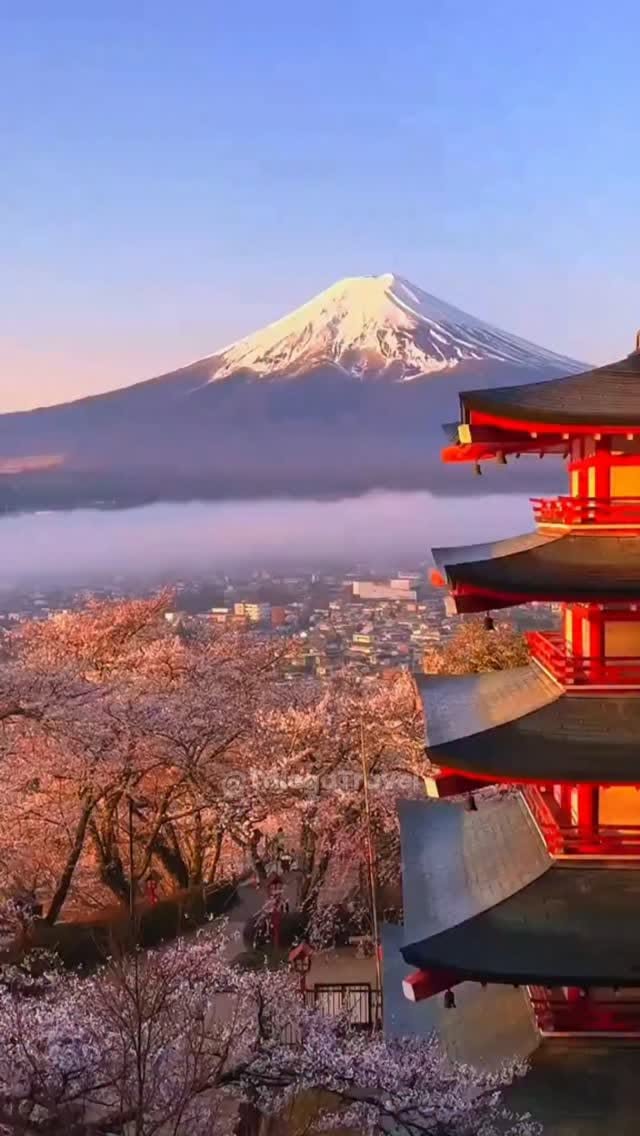 Japan's Best Seasons for Temples, Mountains, and Flowers