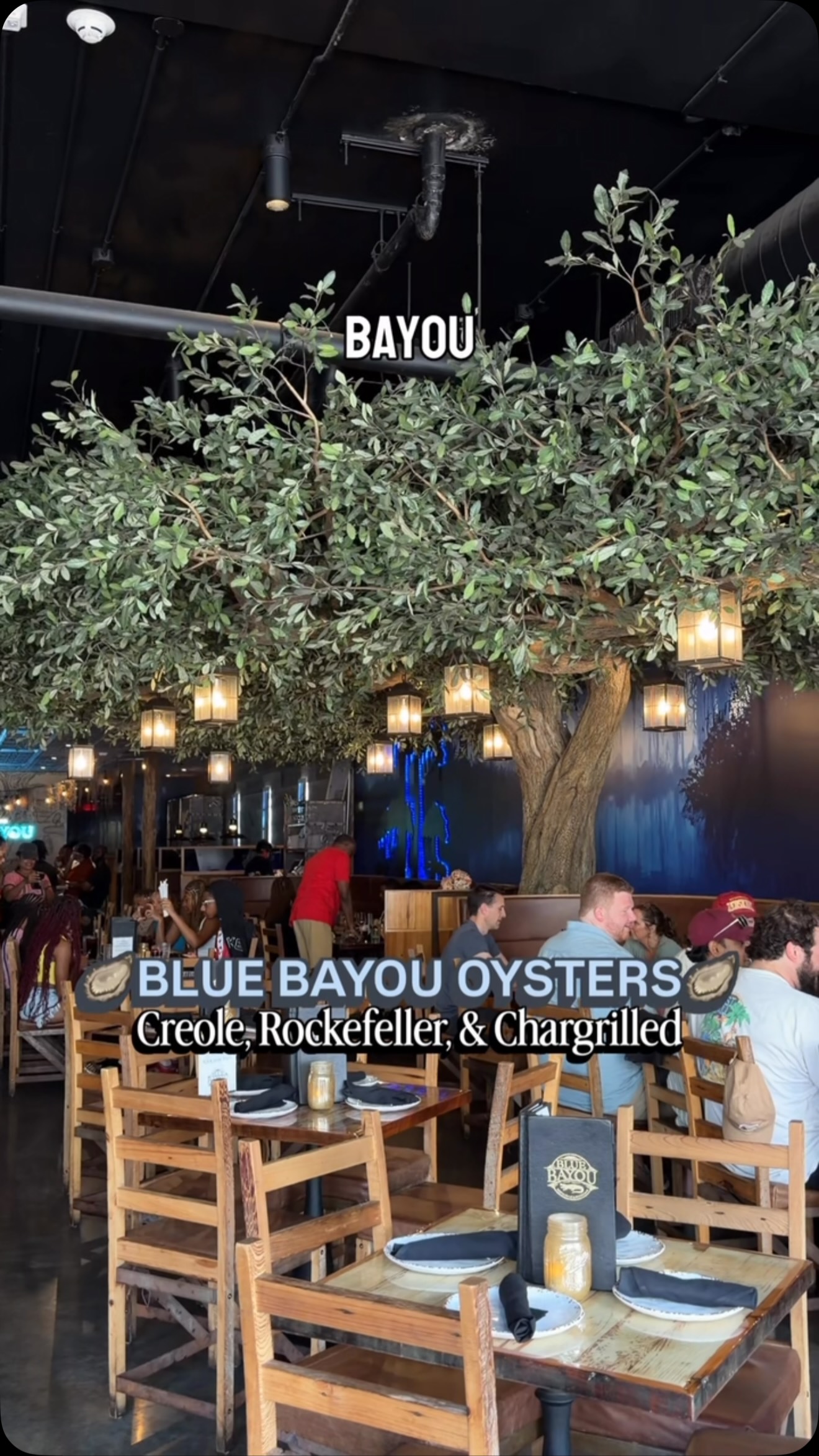 Blue Bayou's Oysters: Creole, Rockefeller, Chargrilled
