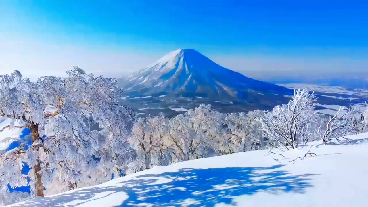 Picturesque Shrines, Castles, and Natural Wonders in Japan