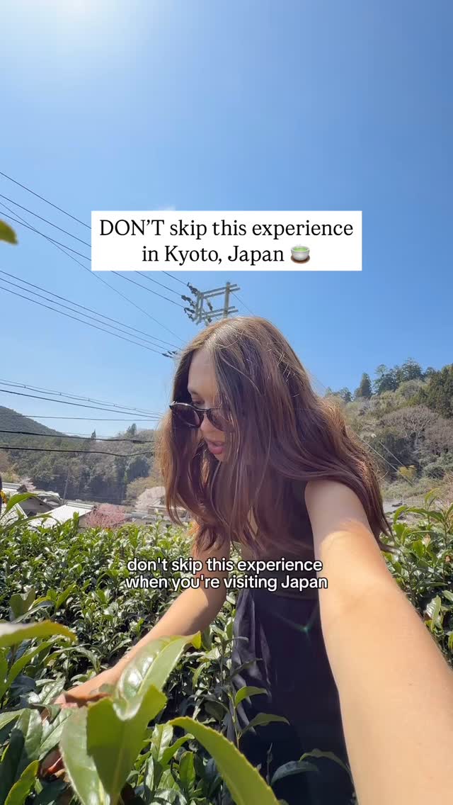 Kyoto Matcha Farm Tour: Tea, Food, and Farm Experience