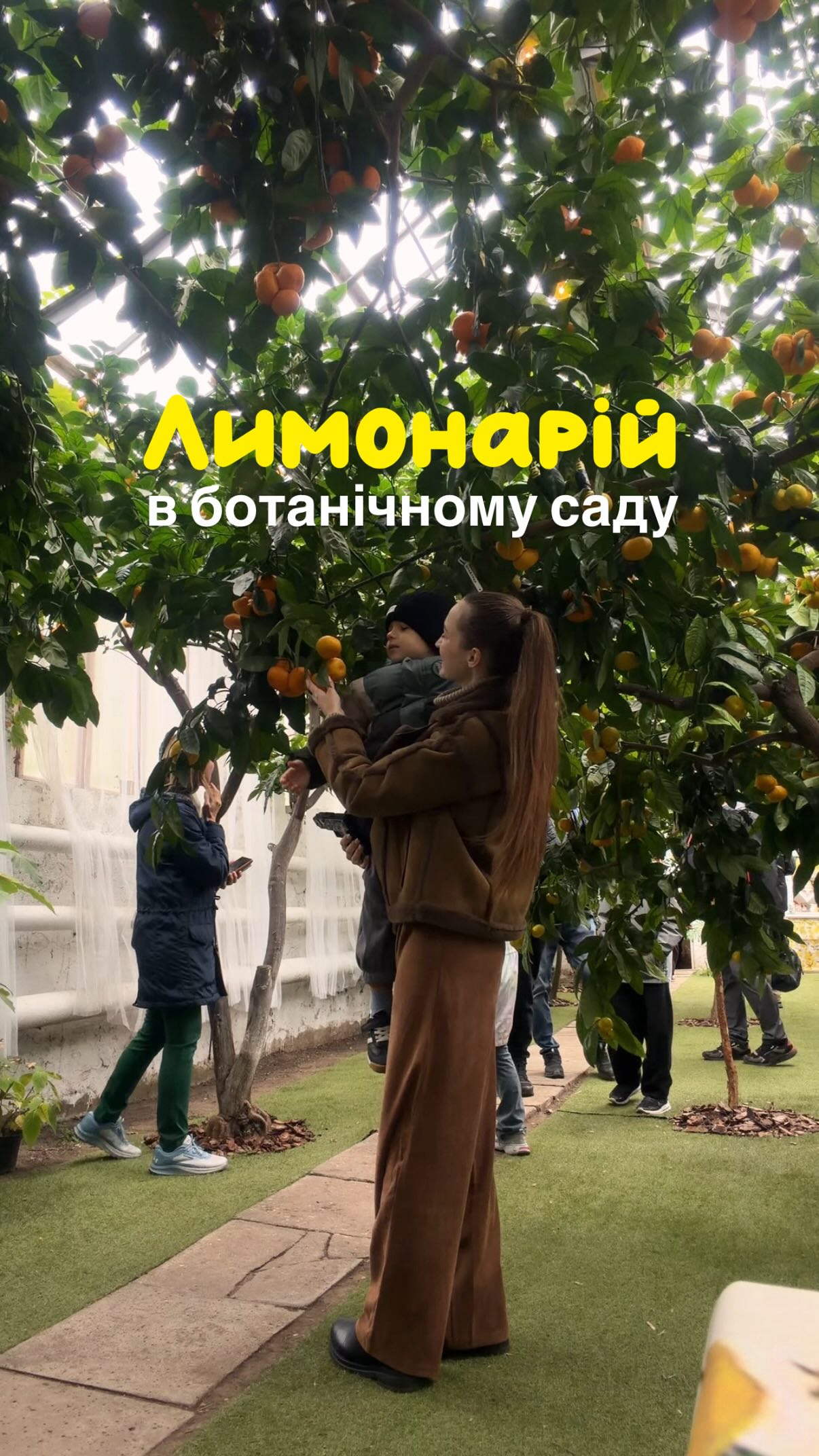 Odessa Botanical Garden Features Lemonarium