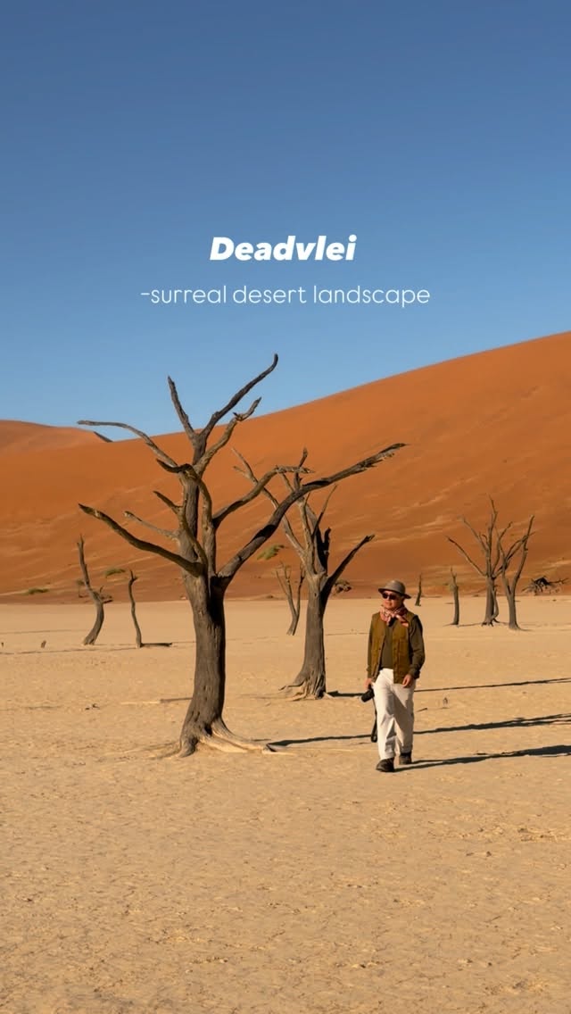 Namibia's Iconic Deserts, Coastline, and Wildlife Parks