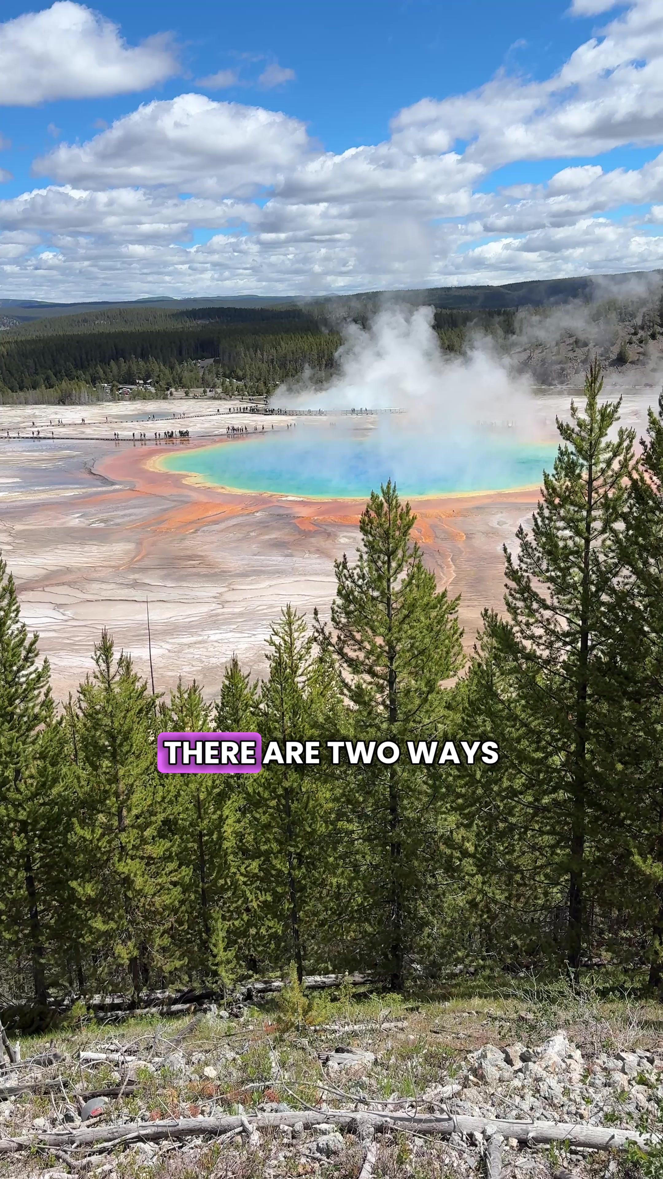 Grand Prismatic Spring Views: Boardwalk and Overlook Hikes