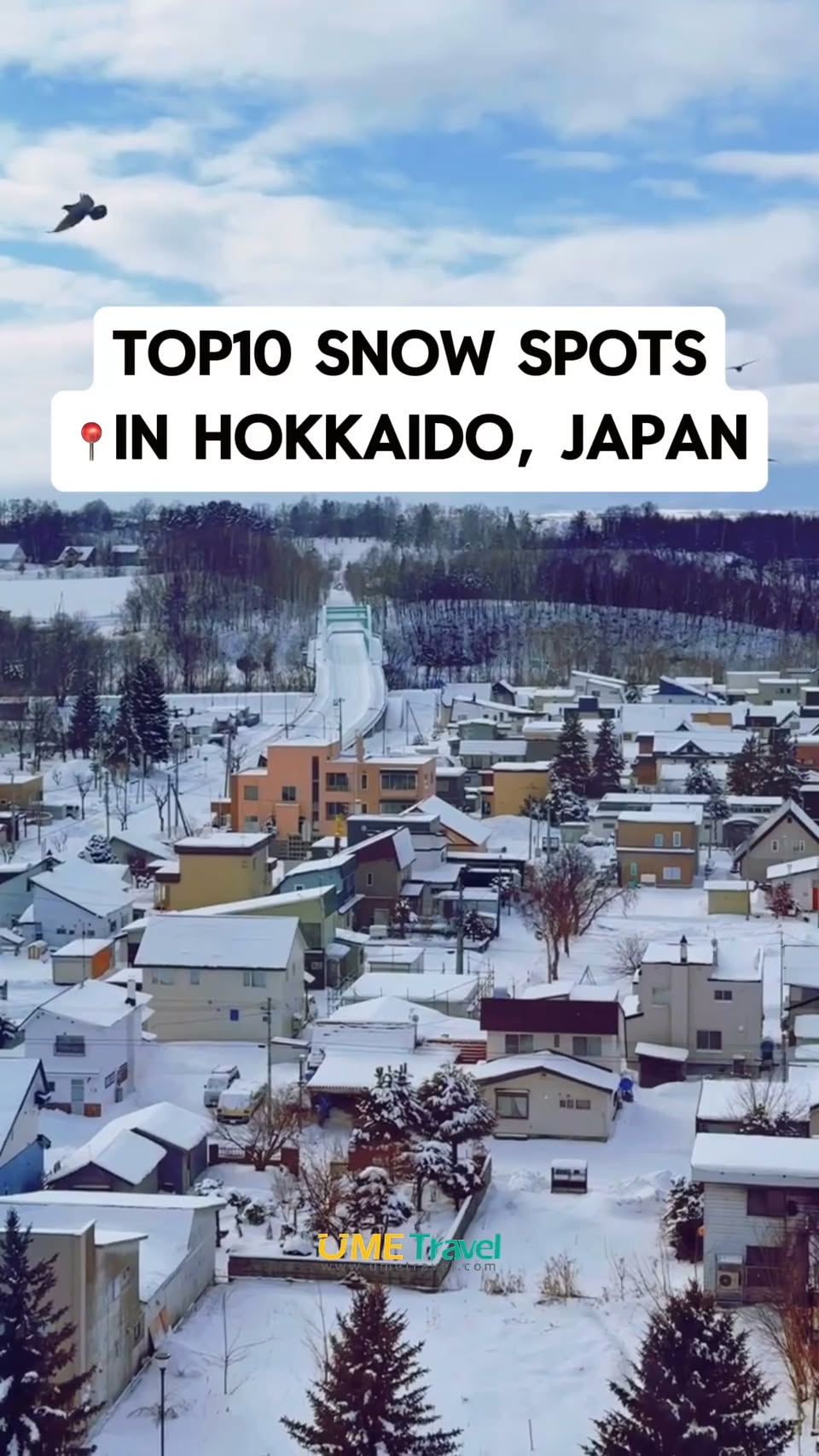 Hokkaido's Top 10 Winter Wonders