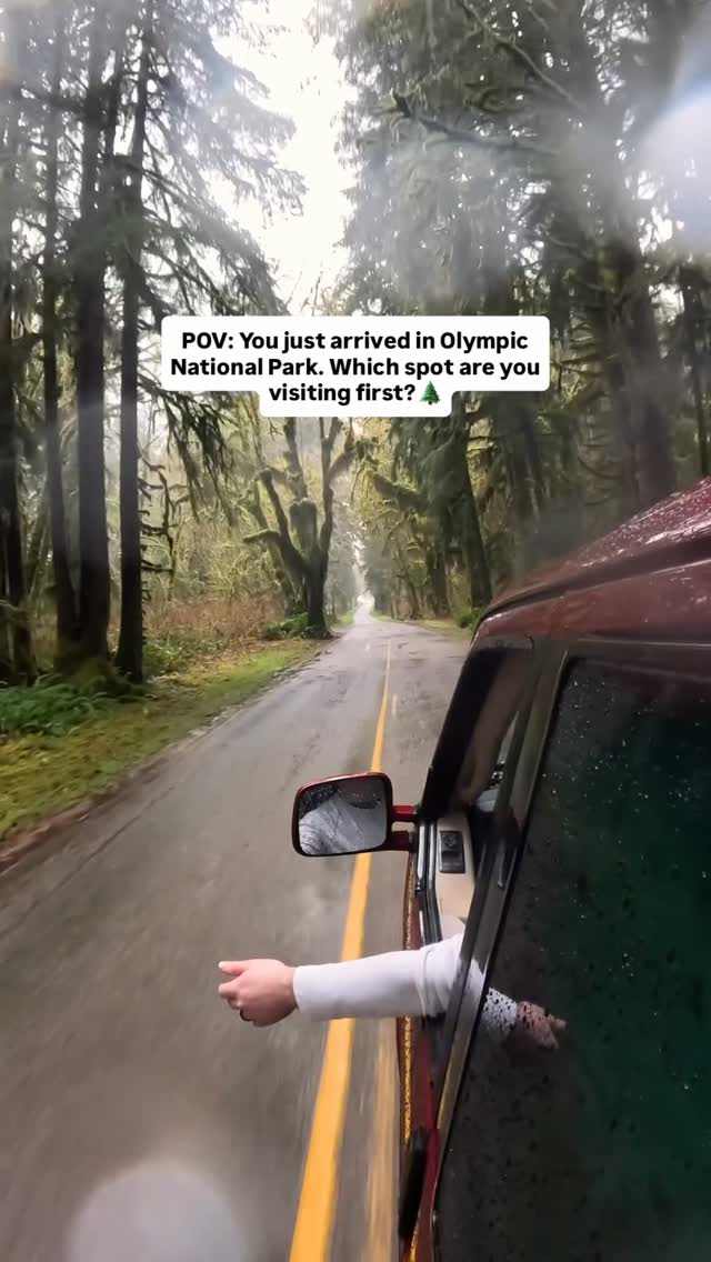 Olympic National Park's Natural Wonders