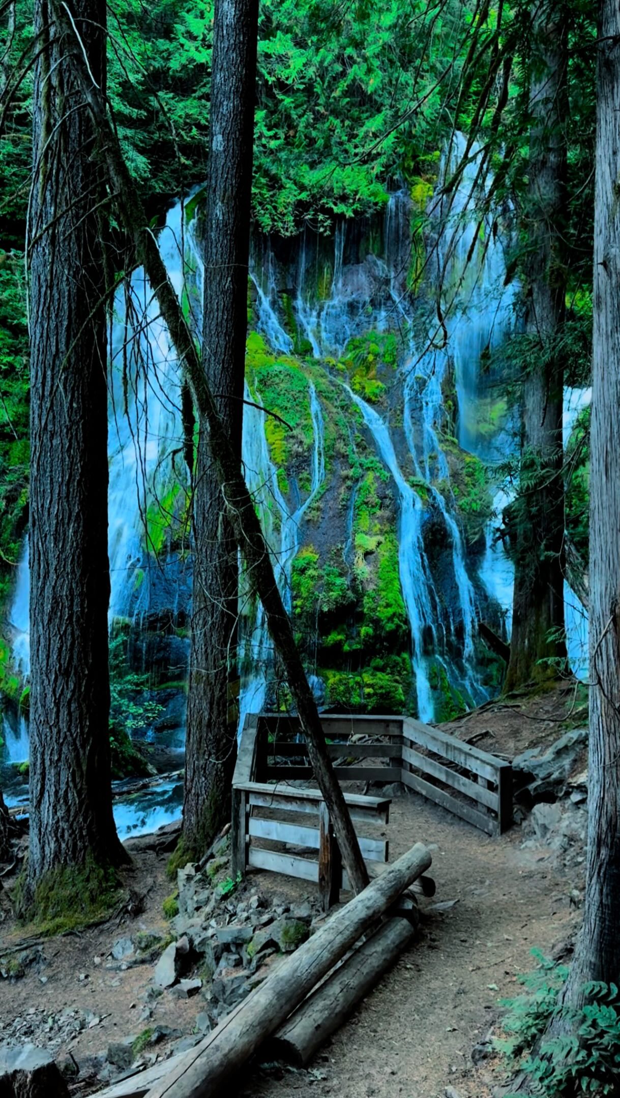 Panther Creek Falls Within Gifford Pinchot National Forest
