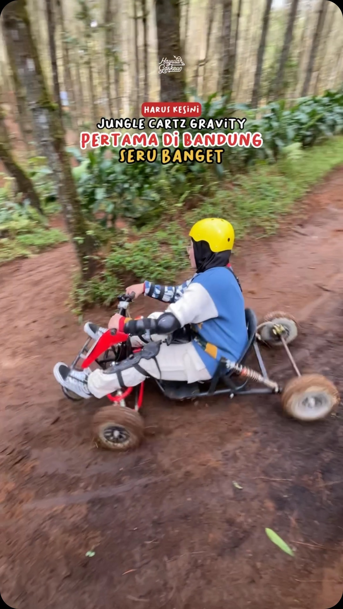 Gravity Go-Karts Among Pine Forests