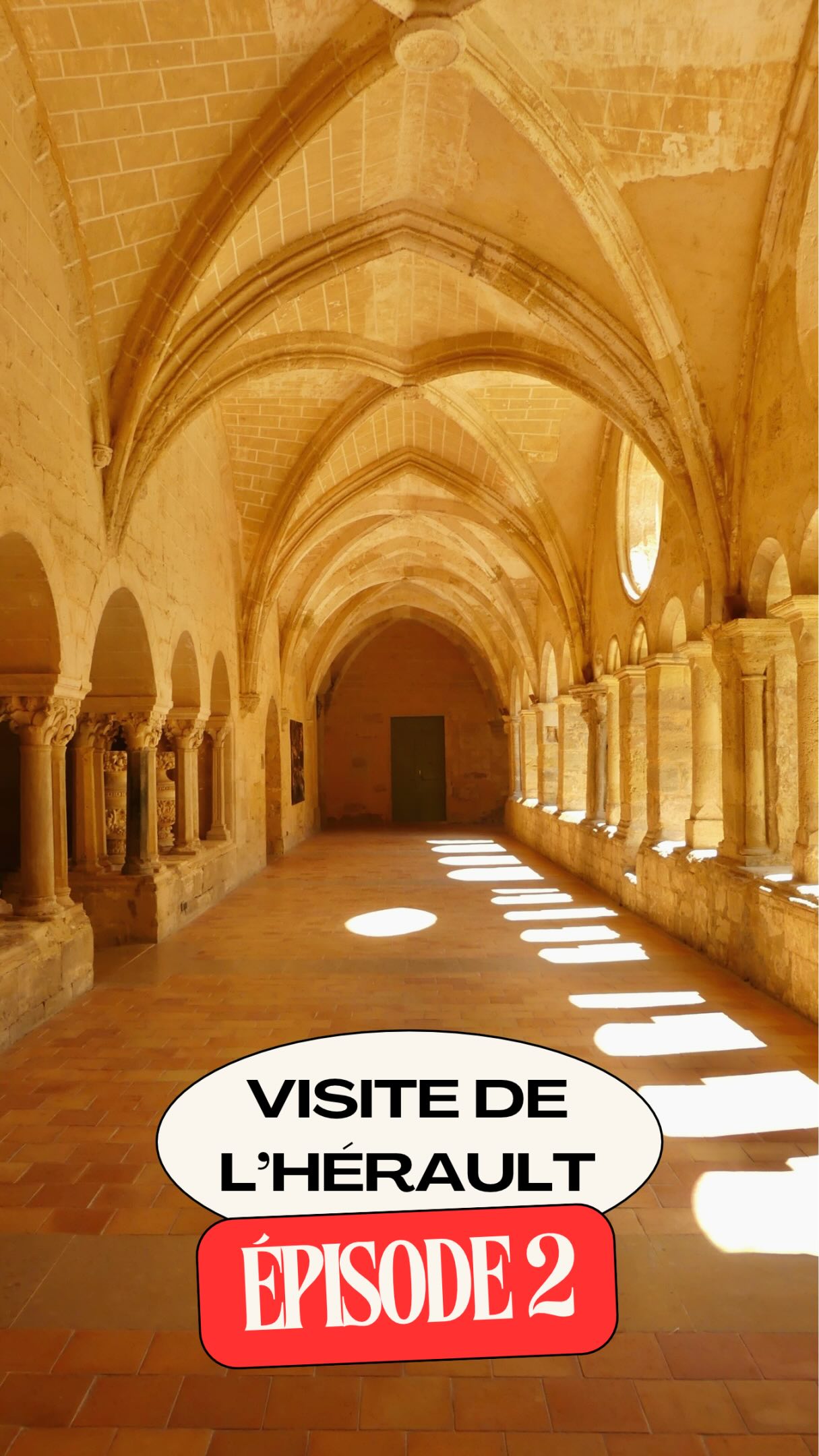 Valmagne Abbey: A Cathedral of Vines