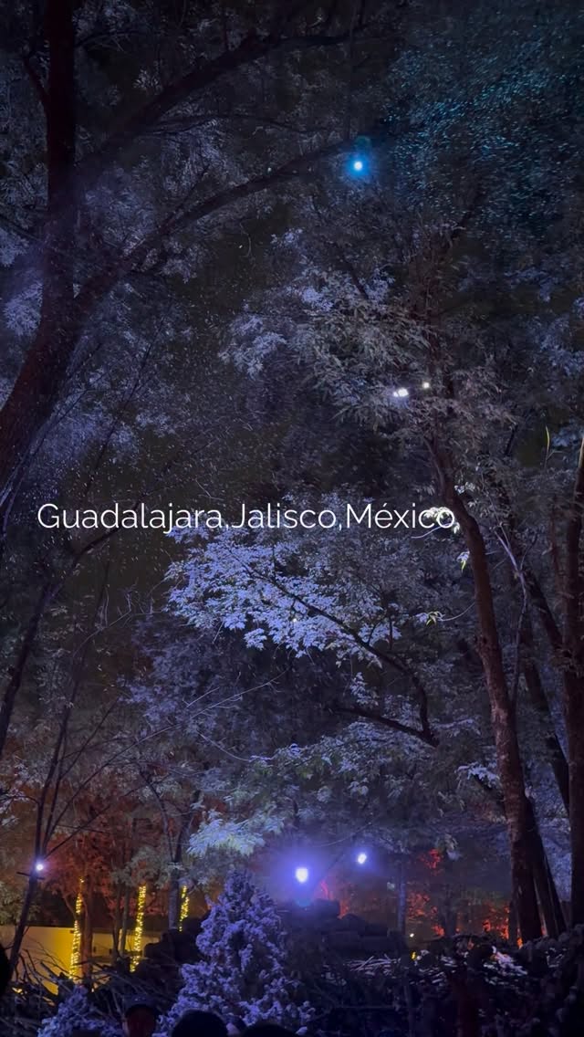 Navidalia: Guadalajara's Festive Christmas Park