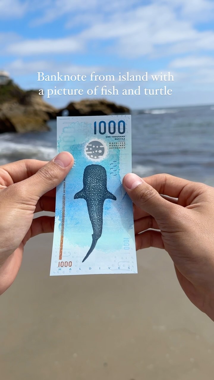 Maldives Banknote Features Marine Life