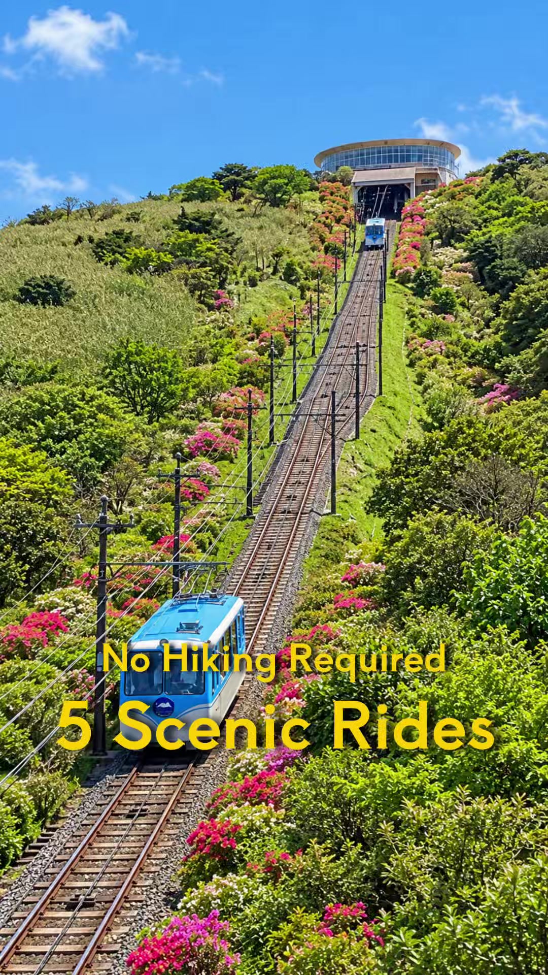 Scenic Rides on Japan's Izu Peninsula