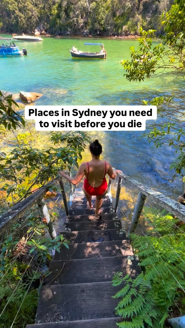Sydney's Coastal Gems: Beaches, Walks, and Views